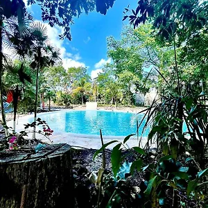 https://tequila-factory-cancun-hotel.quintano-roohotels.com